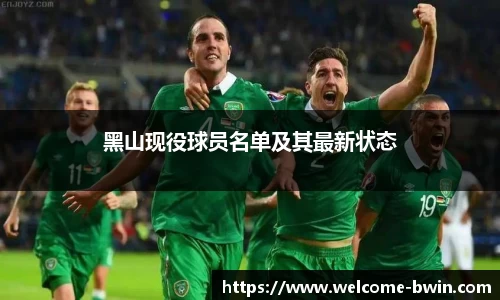 bwin必赢体育官网